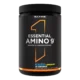 RULE1 Essential Amino 9 30 Servings Dubai